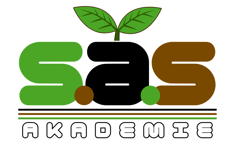 SAS-Akademie.com Logo